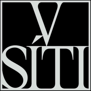 V_síti_logo 1